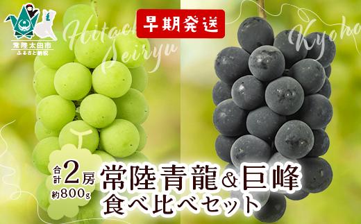 
            【先行予約 数量限定】※初物早期7月発送※種なしぶどう食べ比べ 常陸青龍１房（常陸太田市オリジナル品種）＆巨峰１房約800g【 初物 早期発送 早い 食べ比べ ぶどう 旬 季節 常陸太田オリジナル品種 果汁 酸味 甘味 バランス コク 味わい 冷蔵庫 デザート ぜいたく 種なし ファミリー 子ども 茨城県 常陸太田市】
          