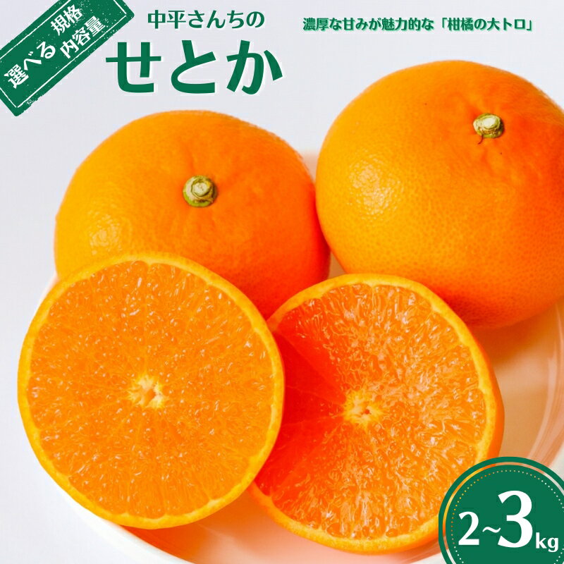 【ふるさと納税】 選べる せとか 訳あり 通常品 3kg 2kg 極み 柑橘 みかん 蜜柑 フルーツ 人気 甘い ジューシー 産地直送 国産 数量限定 糖度 果実 果肉 ゼリー ジュース アイス 特産品 中平農園 愛媛県 愛南町