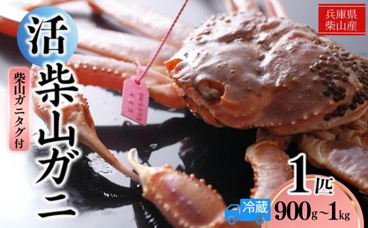 【先行予約】柴山産 活け タグ付 柴山ガニ 生 900g ～1kg 1匹 冷蔵 【令和8年11月中旬以降発送予定】 かに 香美町 37-08
