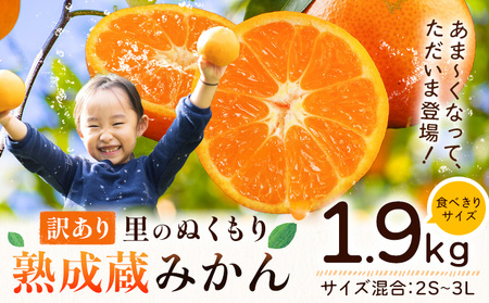 ご家庭用 熟成みかん 1.9kg  ｜みかん  徳島