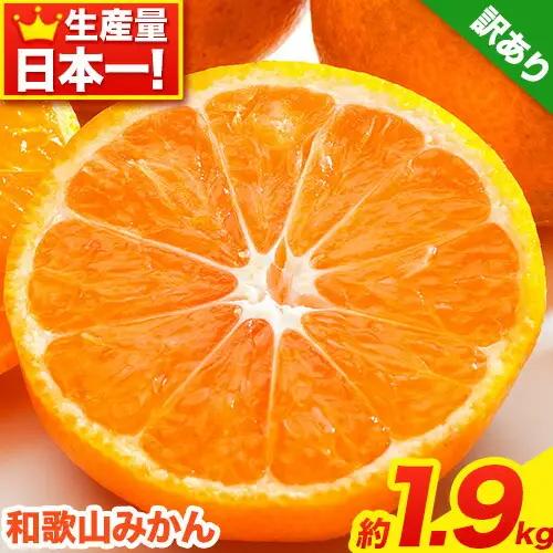 みかん 和歌山みかん 約1.9kg