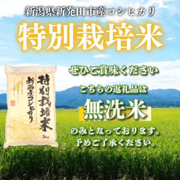 先行予約 コシヒカリ 無洗米 5kg 令和7年産 特別栽培米 こしひかり 米 お米 こめ 新潟米 新潟県産 新潟産 新潟 新潟県 新発田産 新発田 新発田市 斗伸 toushin001_02
