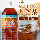 【ふるさと納税】 伊藤園 健康ミネラル むぎ茶 カフェインゼロ 2L×6本×2ケース 送料無料【ソフトドリンク 飲料 飲み物 お茶 麦茶 備蓄 ペットボトル セット カロリーゼロ 2L D07359】