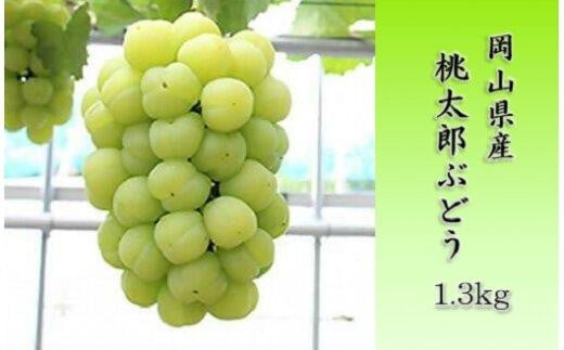 桃太郎ぶどう 1.3kg 【限定300セット】