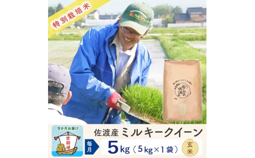 【令和8年産新米 9ヶ月】佐渡島産ミルキークイーン 玄米 5kg 特別栽培米
