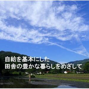 【毎月定期便】栽培期間中化学肥料・化学農薬不使用 R1米コシヒカリ10kg(精米)全3回【4057272】