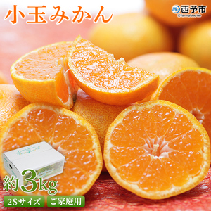 【先行予約】＜愛媛県西予市産 小玉みかん ご家庭用 約3kg＞ 2Sサイズ 訳あり わけあり 果物 フルーツ 温州ミカン 蜜柑 甘い あまい おいしい 美味しい オレンジ 柑橘 特産品 愛媛県 西予市