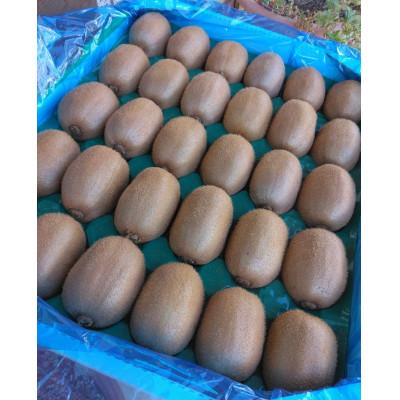 ふるさと納税 下仁田町 【2年連続受賞】下仁田町産キウイフルーツ(30個入り/Lサイズ)　約3.6kg |  | 03