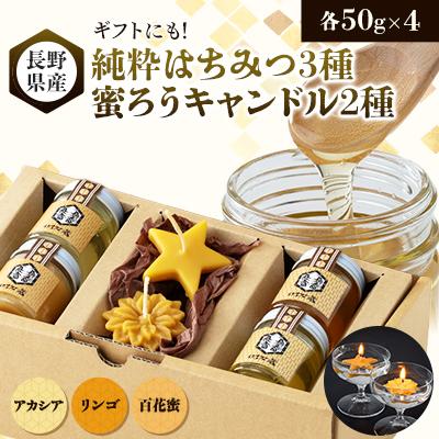 ふるさと納税 茅野市 【ギフトセット】純粋はちみつ×蜜ろうキャンドル(水に浮く星と花のキャンドル)