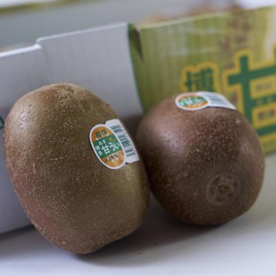ふるさと納税 志免町 福岡県産ブランドキウイ「甘うぃ」約1.5kg(12-15玉)(志免町) |  | 01