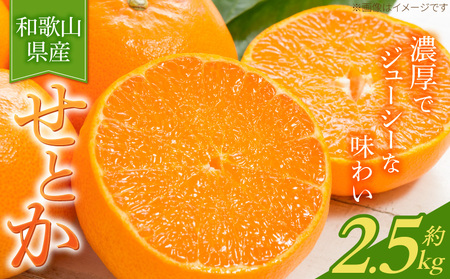G7349_【2027年先行予約】とろける食感！ジューシー柑橘 せとか 2.5kg