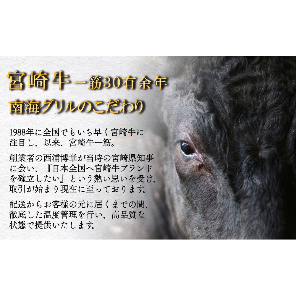 宮崎牛 A4 ヒレスーテキ 150g×3 合計450g ステーキソース付き ギフト箱入り [南海グリル 宮崎県 美郷町 31bg0014] ブランド牛 冷凍 送料無料 国産 牛 肉 南海グリル 贈り物