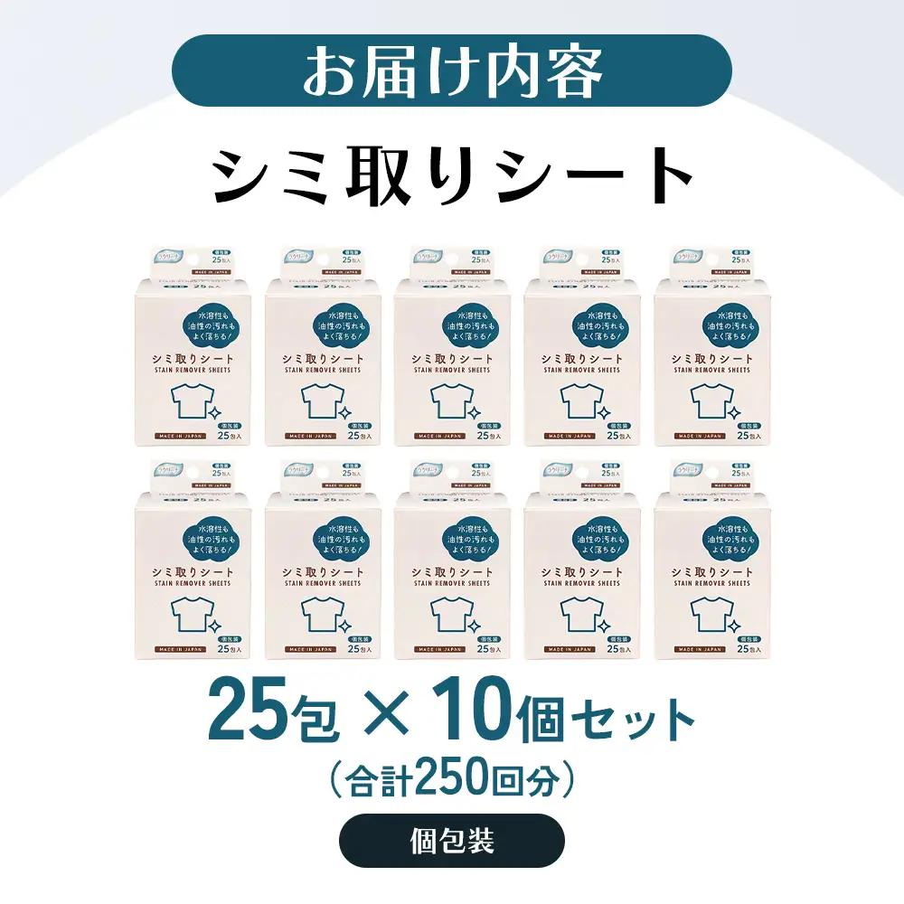 シミ取りシート1箱 25包（個包装）×10個セット（250回分）〈KA-154F〉