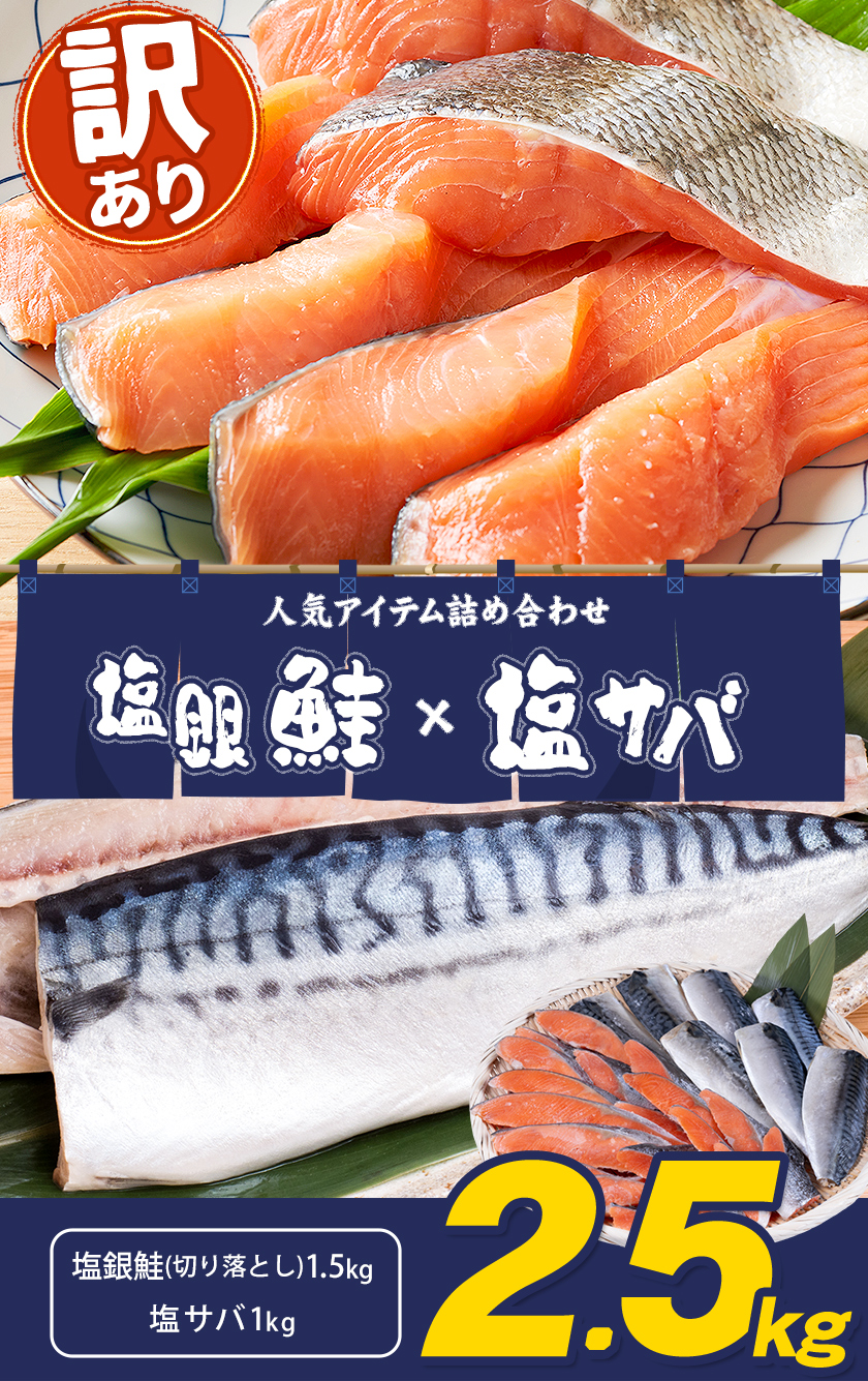 訳あり 人気アイテム 詰め合わせ 塩銀鮭 切り落とし 1.5kg + 塩サバ 1kg 合計 約 2.5kg 株式会社西川 《90日以内に出荷予定(土日祝除く)》千葉県 勝浦市 塩銀鮭 塩サバ 魚 切り落とし 冷凍 訳あり 手作り 惣菜【配送不可地域：離島】---kastuura_nsk_7---