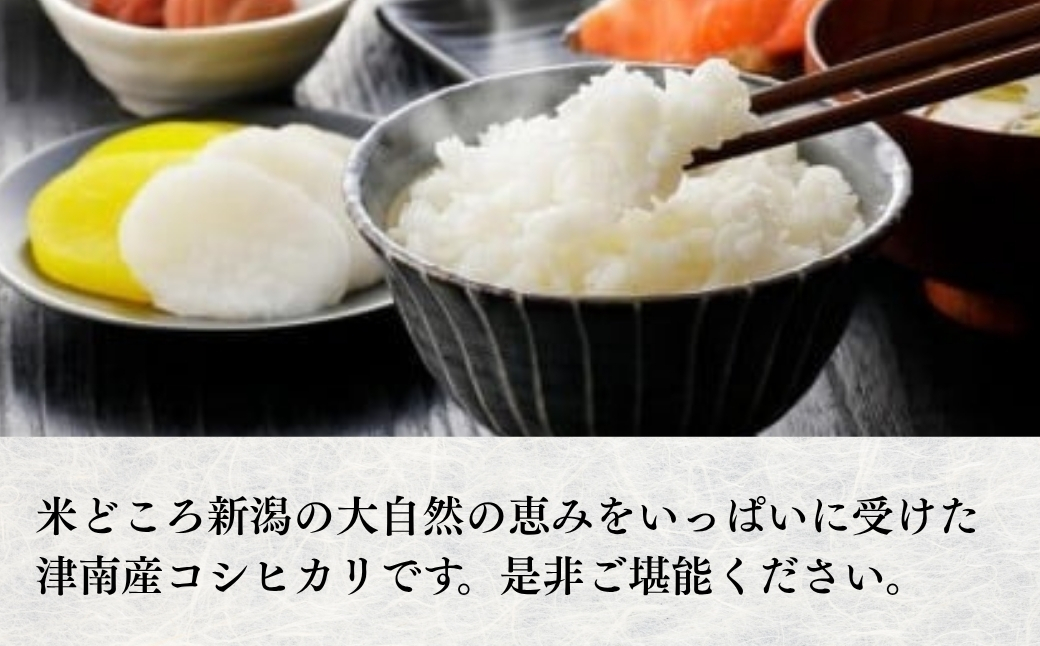 【令和7年産】 魚沼産コシヒカリ特別栽培米 「雪美人」10kg 129400-005-sub