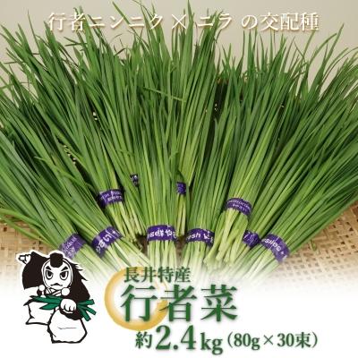 ふるさと納税 長井市 長井特産行者菜約2.4kg(80g×30束)_H221(R8)