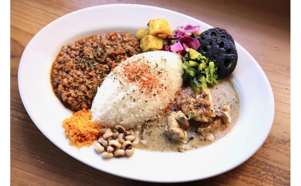 カレーライフの冷凍スパイスカレー2種 計5食セット