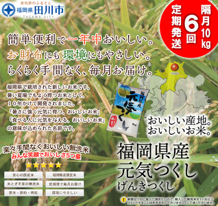 無洗米  【定期便/隔月】元気つくし無洗米 10kg×6回  無洗米 