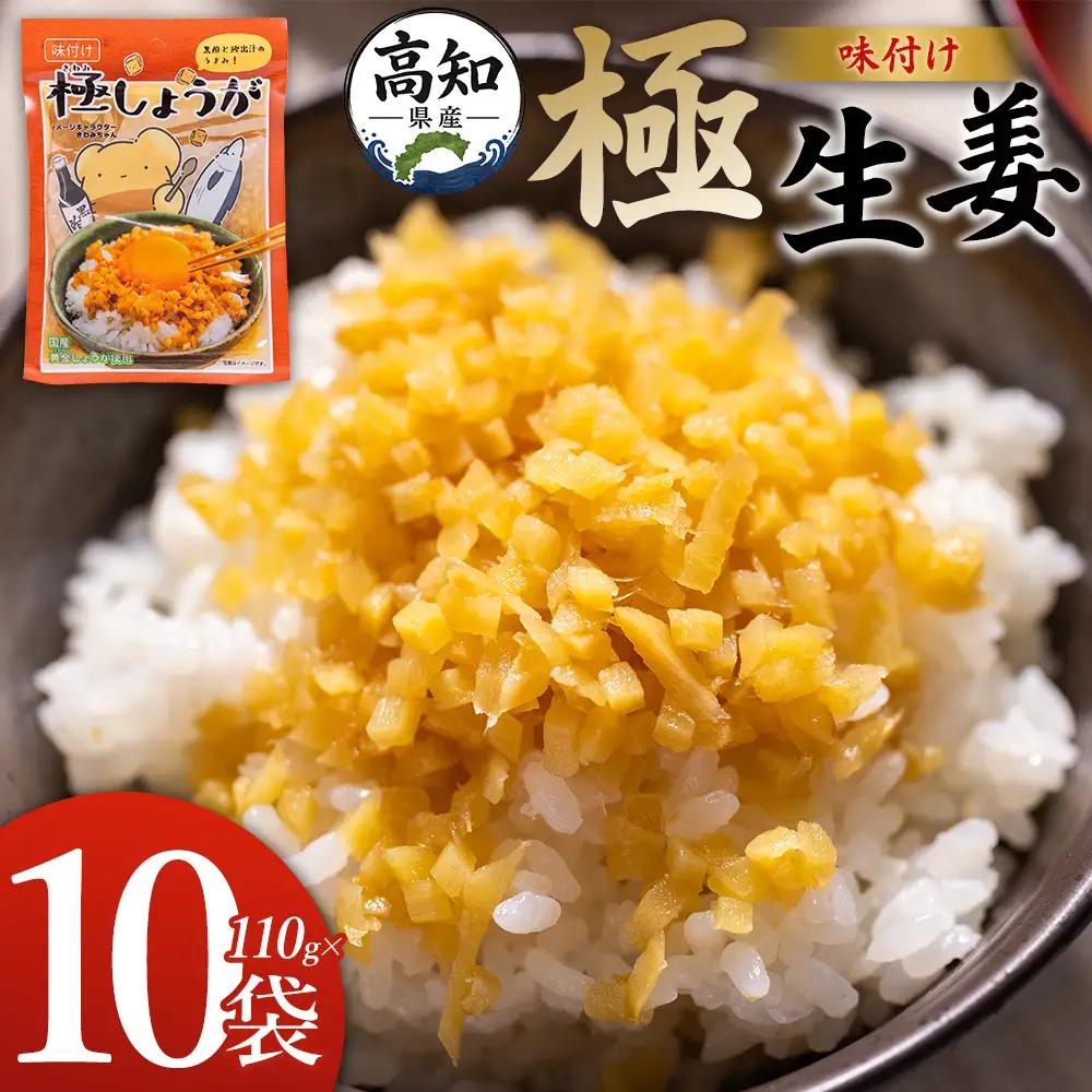 味付け 極しょうが 110g×10袋 計1100g しょうが Xnb-0014
