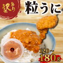 【ふるさと納税】 訳あり 大容量 粒ウニ 120g～180g 塩うに 粒うに うに ウニ 雲丹 瓶詰 瓶 ビン 海鮮 魚介 新鮮 人気 珍味 父の日 母の日 お中元 お歳暮 年末 年始 ギフト プレゼント 贈り物 贈答 感謝 高級 人気うに 瓶ウニ 塩ウニ ウニ丼 うに丼 大容量 うに甚 下関 山口