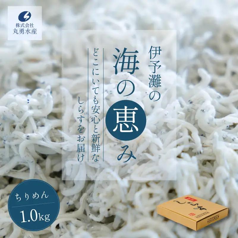 ちりめん 1kg しらす ちりめんじゃこ 【MYS007】