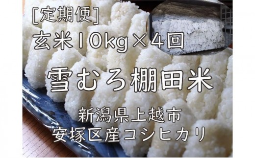 雪むろ棚田米コシヒカリ10kg玄米[定期便]毎月発送(計4回) 新潟県 上越市 新潟産 米 コメ 手づくり百人協同組合