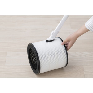 空気清浄機 16畳 AAP-S30C-C サンドベージュ 花粉対策 タバコ ペット