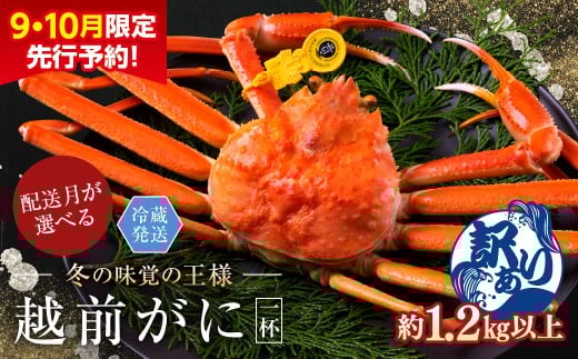 【2026年2月発送・月指定可】【先行予約 9月10月限定】越前がに（オス）「ずわいがに」特特大サイズ（1.2kg以上） 訳あり 1杯
