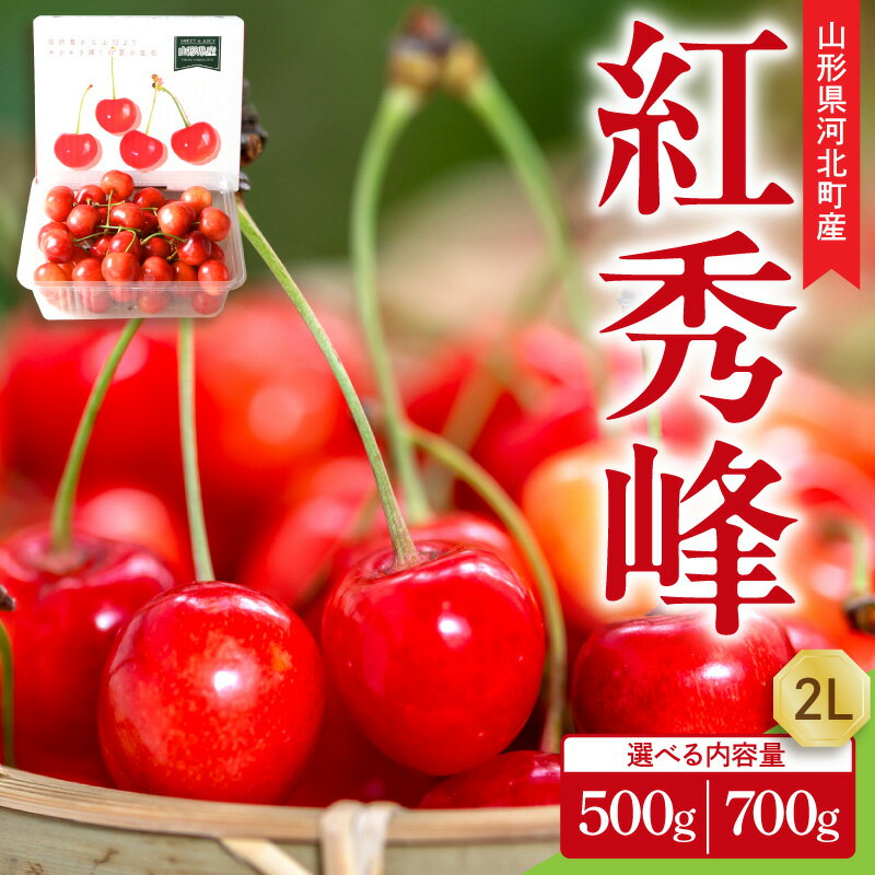 【ふるさと納税】【令和8年産 先行受付】朝採り！さくらんぼ 紅秀峰 （ 選べる 500g / 700g ）| フルーツ 果物 オススメ 人気 バラ 産地直送 送料無料 お取り寄せ 贈答 ギフト プレゼント 初夏 旬 数量限定 先行予約 山形県 河北町