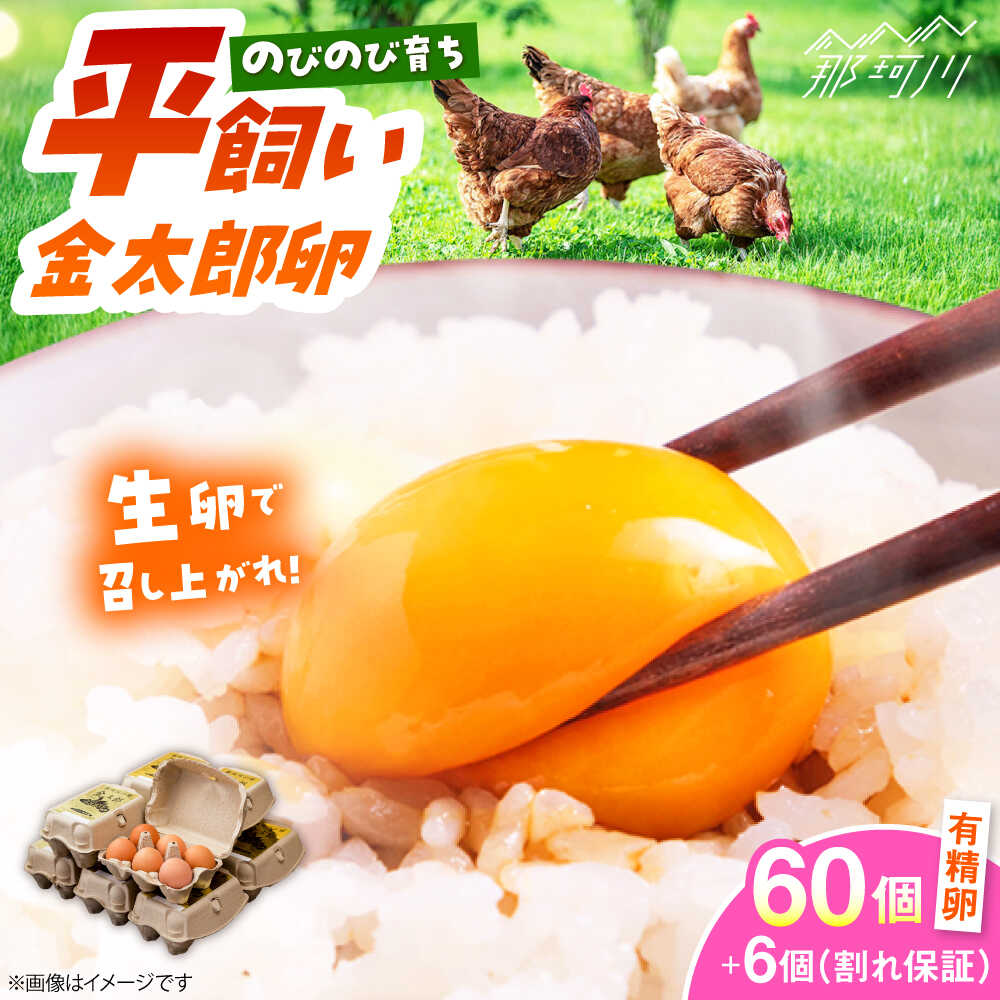 【ふるさと納税】【TVで紹介！】【鮮度AA級の世界最高ランク！】金太郎卵 平飼い たまご 60個（6個×10パック）＜有限会社 フジノ香花園＞那珂川市 | 卵 こだわり 餌 平飼い 有精卵 卵かけご飯 新鮮 生卵[GAM004] 20000 20000円 2万円 以上