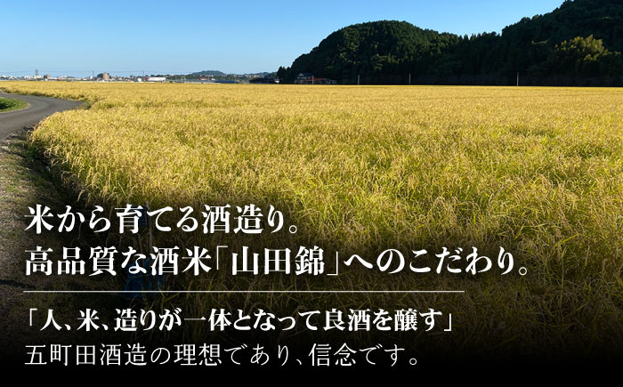 【12回定期便】東一 山田錦特別純米酒 1.8L 1本 【嬉野酒店】 [NBQ115]