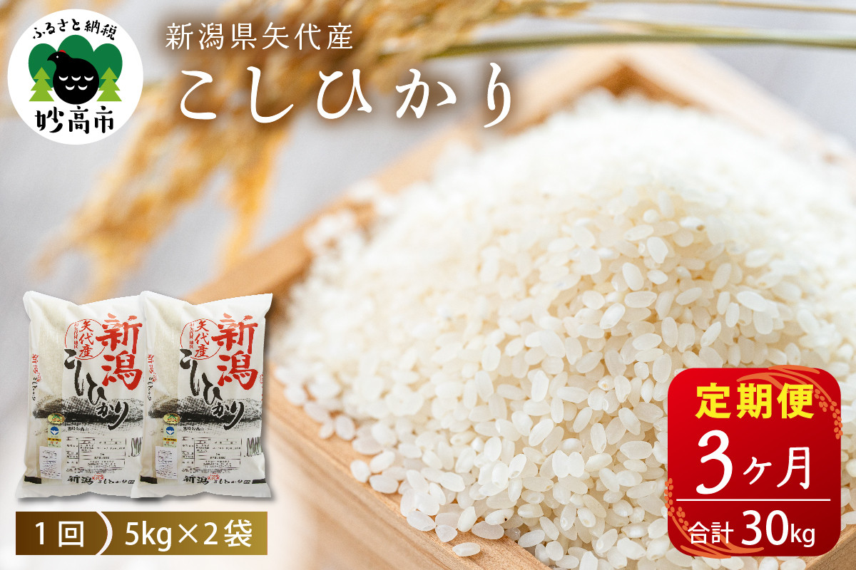 
            【定期便】令和6年産 新潟県矢代産コシヒカリ10kg(5kg×2袋)×3回（計30kg）
          