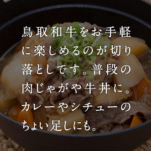 定期便 鳥取和牛 切り落とし600g×3回 合計1,8kg HN49【やまのおかげ屋】