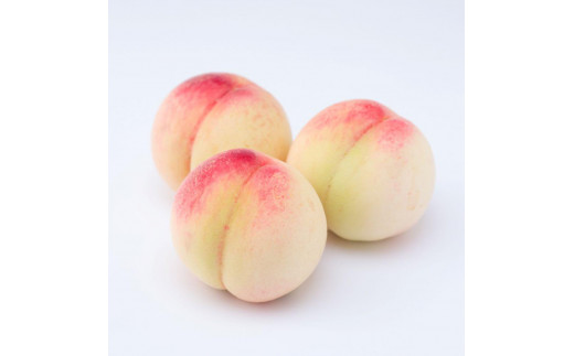 
和歌山県産 桃 5玉～6玉 約1.5kg 秀品【AS2】
