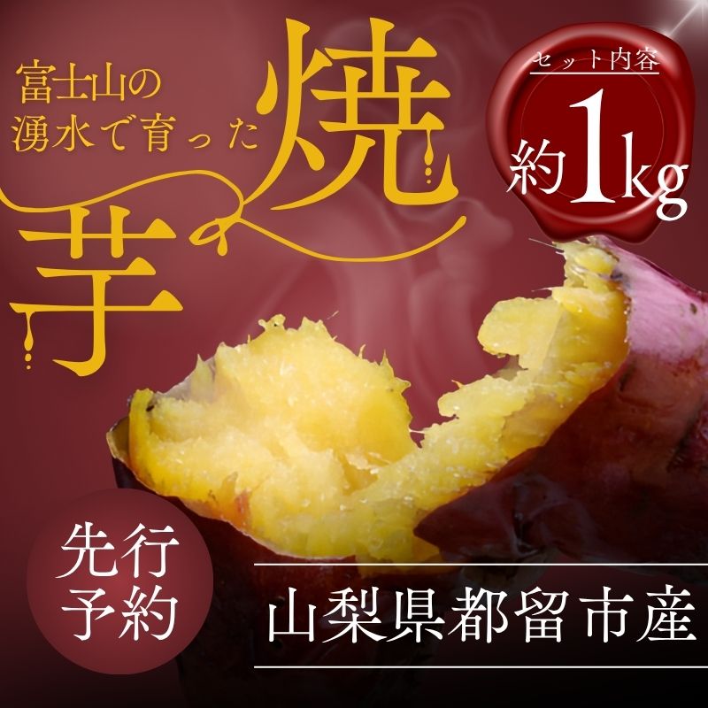 【先行予約】富士山の湧水で育った焼きいも　【山梨県産 焼き芋 やきいも おいも 美味しい 熟成 格別 富士山 湧水 極上 スイーツ ほっくり ほくほく おやつ 特別感 自分 ごほうび 記念 贈り物 贈答 格別】