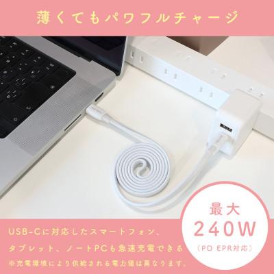ふるさと納税 海老名市 マグネットフラットケーブル PD240W対応 ペールアイリス(MOT-MGFCC100-PU) |  | 03
