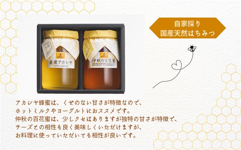 自家採り国産天然はちみつ 2本セット(460g×2)【渡辺養蜂場】