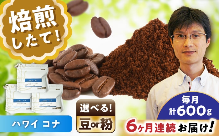
            【全6回定期便】【選べる豆 or 粉】ハワイ・コナ コーヒー 200g×3個 / 珈琲 コーヒー / 瀬戸市 / Ｃｏｆｆｅｅ　ＳＡＫＵＲＡ [BBAB072]
          