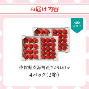 ★予約受付★杉山いちご農園 佐賀県玄海町産いちご「さがほのかDX」／ さがほのか【B159】