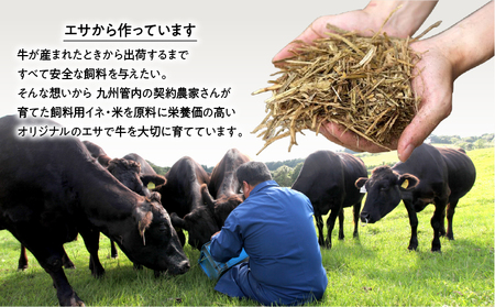 A5等級 鹿児島県産 黒毛和牛 赤身 焼肉 800g K002-051_08 肉 牛肉 冷凍