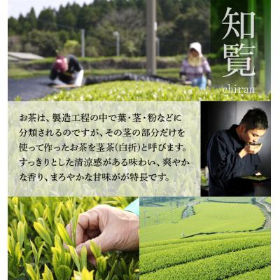 ふるさと納税 南九州市 鹿児島県産茎茶「かりがね」1kg |  | 03