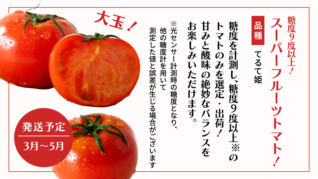 【 野菜ソムリエ 厳選 】 旬 の フルーツ 定期便 ( イチゴ スタート ) 4回 先行予約 果物 いちご イチゴ 苺 とちおとめ やよいひめ かおり野 すいか 小玉スイカ ピノガール トマト フル