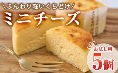 ＜お試し用＞濃厚チーズケーキ (計5個) チーズケーキ チーズ スイーツ 冷凍 お菓子 おやつ 焼き菓子 お取り寄せ 大分県 佐伯市【AJ74】【(有)ケーキ大使館クアンカ・ド－ネ】