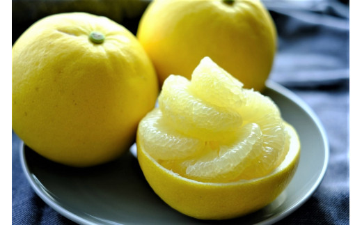 土佐文旦 10kg L〜3L ご家庭用 高知 黒潮町 文旦 ぶんたん 柑橘 フルーツ 果物 文旦10kg 家庭用文旦 大玉 小玉 サイズ統一 17〜25個 皮むき器 ムッキーちゃん付き 産地直送 文旦