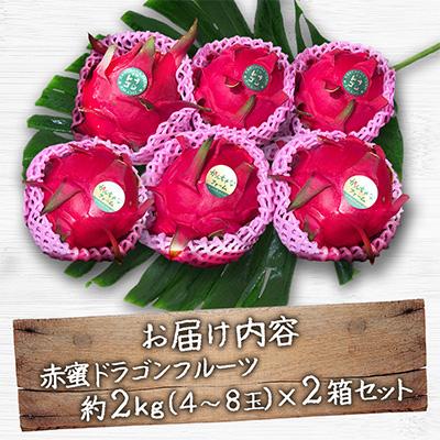 ふるさと納税 瀬戸内町 【奄美産】 食べごろ樹上完熟『赤蜜ドラゴンフルーツ』2kg×2箱セット |  | 01
