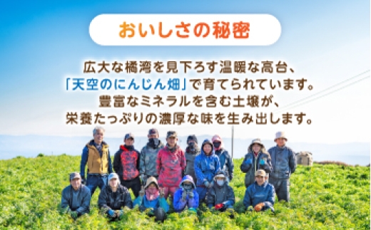 食品 やさい 野菜 サラダ 旬 甘い にんじん ニンジン 人参 キャロット きゃろっと にんじんジュース 人参ジュース