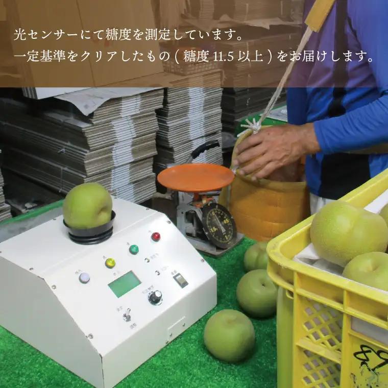梨  幸水 5kg 先行予約 2026年発送 仁平果樹園 益子町産 DB001