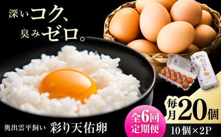 6回 定期便 彩り天佑卵 20個入り [AIDL013] 卵