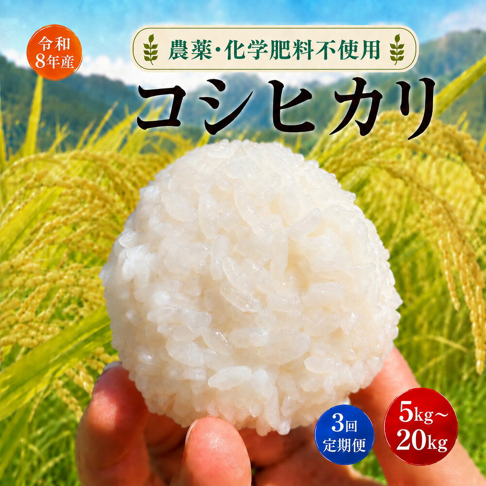 【ふるさと納税】【令和8年産】コシヒカリ 5kg ・ 10kg ・ 20kg（単品） / 5・10kg（3回定期便）｜ 北アルプス高橋農園 農薬不使用 化学肥料不使用 米 お米 こめ コシヒカリ こしひかり 白米 精米 長野県 松川村 地域おこし 北アルプス 信州 安曇野