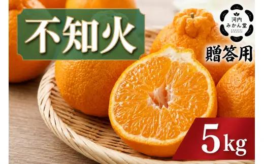【 贈答用 】 熊本県産 不知火 約5kg （ 15 ～ 24玉前後 ） 贈り物 果物 くだもの フルーツ 柑橘系 柑橘類 みかん ミカン 果肉 国産 贈答品 果汁 贈答 【 2027年2月下旬発送開始 】